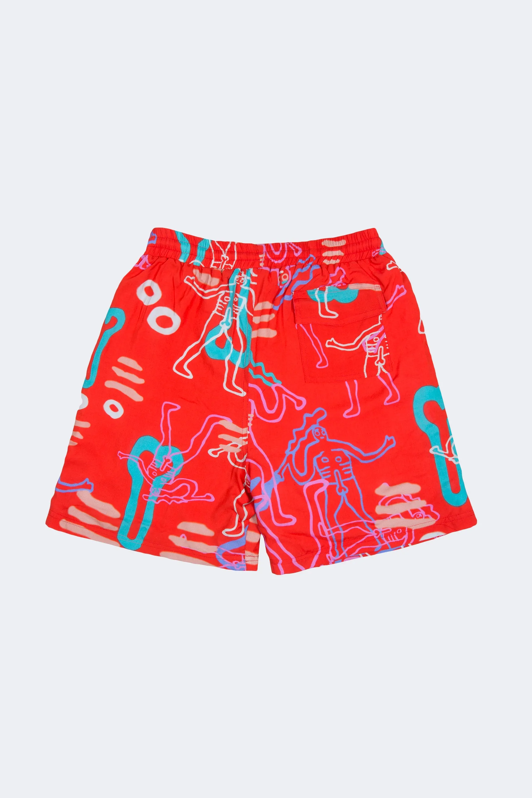 Dude Board Shorts